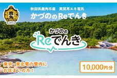 《地域限定》かづののReでんき 電気 10,000円分 秋田県 鹿角市産 電気 東京電力 / 東北電力 管内にお住まいの方限定 電力 料金 家計 東電 東北電 エコ 脱炭素 秋田 鹿角市 送料無料 【かづのパワー】