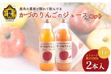 農家が隠れて飲んでる かづのりんごのジュース＆にんじんミックス（1L×2本） 各1本 りんごジュースにんじんミックス リンゴジュース りんご ジュース ドリンク 甘い 常温 保存 新鮮 おいしい ストレート 100% グルメ ギフト ふるさと 秋田 鹿角市 鹿角 送料無料 【恋する鹿角カンパニー】