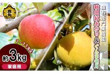 《 先行予約 》由右衛門果樹園 りんご 家庭用 「秋田紅あかり & ぐんま名月」約3kg (7～11玉)【由右衛門果樹園】●2025年11月上旬頃発送開始 秋田県産 旬 食感 果汁 リンゴ 詰め合わせ 食べ比べ セット 希少 贅沢 甘い 贈り物 グルメ ギフト 秋田 あきた 鹿角市 鹿角 送料無料
