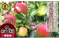 《 先行予約 》 由右衛門果樹園 りんご 家庭用 おまかせ詰め合わせ 約3kg（7～11玉）3品種以上【由右衛門果樹園】●2025年11月中旬発送開始 りんご 林檎 リンゴ 詰め合わせ 食べ比べ  秋田県 秋田 あきた 鹿角市 鹿角 かづの 3kg 3Kg 3KG 産地直送 農家直送 