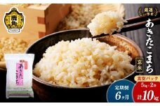 【定期便】令和7年産 厳選一等米 ダイツネ あきたこまち 玄米 10kg×6回《6ヶ月定期便》計60kg【大里恒三商店】 定期 定期便 あきたこまち 米 新米 真空 真空パック 保存 高品質 こめ コメ ご飯 ごはん お米 厳選 一等米 秋田県 秋田 あきた 鹿角市 鹿角 かづの 国産 産地直送
