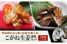 こがね生姜満喫セット 詰め合わせ 小分け ご飯のお供 つくだに おつまみ グルメ 小魚 子供 美味しい 秋田 人気 おすすめ 潟上市【佐藤徳太郎商店】

