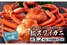 日本海沖産 紅ズワイガニ600g前後×2匹 約1.2kg/冷蔵　　冷蔵 ズワイガニ 2匹 約 1.2kg 紅ズワイガニ ベニズワイガニ ずわい ズワイ蟹 ずわいがに ずわい蟹 姿 ボイル 訳あり 蟹 カニ かに 国産 蟹 不揃い 傷 緊急 カニみそ入り 潟上市 【安田水産】
