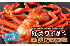 日本海沖産 紅ズワイガニ500g前後×2匹 約1.0kg/冷蔵　　 冷蔵 ズワイガニ 2匹 約 1.0kg 紅ズワイガニ ベニズワイガニ ずわい ズワイ蟹 ずわいがに ずわい蟹 姿 ボイル 訳あり 蟹 カニ かに 国産 蟹 不揃い 傷 緊急 カニみそ入り 潟上市 【安田水産】
