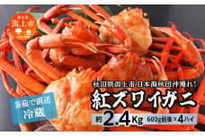 日本海沖産 紅ズワイガニ600g前後×4匹 約2.4kg/冷蔵　　 冷蔵  ズワイガニ 4匹 約 2.4kg 紅ズワイガニ ベニズワイガニ ずわい ズワイ蟹 ずわいがに ずわい蟹 姿 ボイル 訳あり 蟹 カニ かに 国産 蟹 不揃い 傷 緊急 カニみそ入り 潟上市 【安田水産】