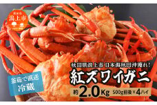 日本海沖産 紅ズワイガニ500g前後×4匹 約2.0kg/冷蔵　　 冷蔵 ズワイガニ 4匹 約 2.0kg 紅ズワイガニ ベニズワイガニ ずわい ズワイ蟹 ずわいがに ずわい蟹 姿 ボイル 訳あり 蟹 カニ かに 国産 蟹 不揃い 傷 緊急 カニみそ入り 潟上市 【安田水産】