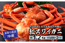 日本海沖産 紅ズワイガニ600g前後×2匹 約1.2kg/冷凍　 冷凍 ズワイガニ 2匹 約 1.2kg 紅ズワイガニ ベニズワイガニ ずわい ズワイ蟹 ずわいがに ずわい蟹 姿 ボイル 訳あり 蟹 カニ かに 国産 蟹 不揃い 傷 緊急 カニみそ入り 潟上市 【安田水産】