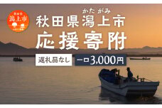 応援寄附金（返礼品なし）3,000円