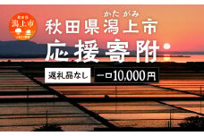応援寄附金（返礼品なし）10,000円