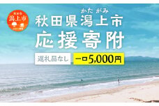 応援寄附金（返礼品なし）5,000円