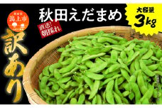 《先行予約》令和7年産 訳あり 枝豆 3kg 農家直送 収穫 当日発送 えだまめ 朝獲れ クール便 発送 朝採り 野菜 夏野菜 おつまみ 晩酌 Bランク お取り寄せ グルメ 潟上市 秋田 おいしい つまみ 【エスジー・ファーム】