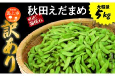 《先行予約》令和7年産 訳あり 枝豆 5kg 農家直送 収穫 当日発送 えだまめ 2kg 3kg × 各1袋 朝獲れ クール便 発送 朝採り 野菜 夏野菜 おつまみ 晩酌 Bランク お取り寄せ グルメ 潟上市 秋田 おいしい つまみ 【エスジー・ファーム】