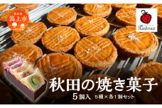 秋田の焼き菓子 5種 セット サブレ マドレーヌ パウンドケーキ クッキー 詰め合わせ セット 特産品 オリジナル 焼き菓子 お菓子 おやつ ギフト お取り寄せ 手土産 おすすめ ふるさと 潟上市 バレンタイン 秋田 送料無料 【パティスリー・パルテール】
