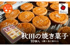 秋田の焼き菓子 5種 各2袋（計10袋） セット サブレ マドレーヌ パウンドケーキ クッキー 詰め合わせ セット 特産品 オリジナル 焼き菓子 お菓子 おやつ ギフト お取り寄せ 手土産 おすすめ ふるさと 潟上市 バレンタイン 秋田 送料無料 【パティスリー・パルテール】