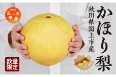 【1~2月発送】令和6年産 かほり梨 和梨 かほり 旬 甘い 大玉 800g くだもの 果物 フルーツ なし ナシ 冷蔵 グルメ 人気 おすすめ ランキング 故郷 ふるさと 納税 秋田 秋田県 潟上 潟上市 【加賀谷果樹園】