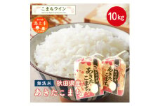 《新米先行予約》 新米 無洗米 あきたこまち 10kg 米 一等米 返礼品 こめ コメ 5キロ ふっくら 甘い 人気 おすすめ グルメ 故郷 ふるさと 納税 秋田 潟上市 一人暮らし 【こまちライン】