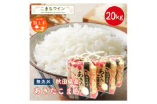 《新米先行予約》 新米 無洗米 あきたこまち 20kg 米 一等米 返礼品 こめ コメ 20キロ ふっくら 甘い 人気 おすすめ ランキング グルメ 故郷 ふるさと 納税 秋田 潟上 潟上市 【こまちライン】
