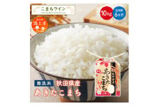 《 定期便 》 《新米先行予約》 新米 無洗米 あきたこまち 10kg × 6ヶ月 半年 米 一等米 返礼品 こめ コメ 10キロ 6回 ランキング グルメ 故郷 ふるさと 納税 秋田 潟上 潟上市 【こまちライン】