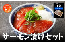 サーモン漬け丼セット 60g×5袋  計300g 訳アリ 訳あり 簡易包装 冷凍 時短 簡単調理 お手軽 小分け パック 個包装 一人暮らし 海鮮丼 海鮮 鮭 季節 魚 漬け 丼  魚介 おすすめ  送料無料 【西村魚屋】