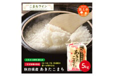 《新米先行予約開始》【選べる精米方法：玄米】 新米 あきたこまち 5kg 玄米 米 一等米 返礼品 こめ コメ 5キロ ふっくら 甘い 人気 おすすめ グルメ 故郷 ふるさと 納税 秋田 潟上市 一人暮らし 【こまちライン】