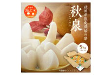 《10月中旬～発送開始》秋泉 秋田県限定 和梨 甘い 大玉 5kg なし ナシ 直送 旬 冷蔵 くだもの 果物 フルーツ 秋田 秋田県 潟上 潟上市 【加賀谷果樹園】