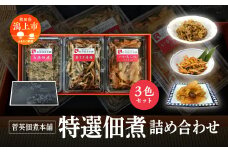 特選 佃煮 詰め合わせ 3色 パック ギフト 白魚 佃煮 若さぎ わかさぎ 唐揚げ いかあられ おつまみ しらうお つくだ煮 つくだに ご飯のお供 おつまみ グルメ お茶請け 秋田 珍味 小袋 酒の肴 つまみ ツマミ 小魚 秋田 人気 潟上市