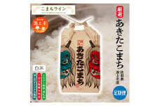 【令和7年産】 先行予約 【12か月定期便】《白米》新米 あきたこまち なまはげ 米袋 米 10kg×12回 一等米 ギフト パッケージ 限定デザイン 紙袋 リメイク 工作 お面 こども お土産 秋田 潟上市 【こまちライン】
