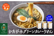 かたがみグリーンカレーうどん 3人前 カレー うどん カレーうどん 比内地鶏 小分け 麺 冷凍 3個 3袋 簡単 お手軽 レトルト スープ付き うどんの素 国産 道の駅 ご当地 一人暮らし【秋田味商】