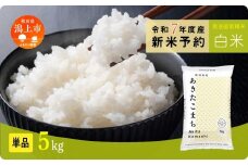 《先行予約》 白米 あきたこまち 令和7年産 5kg(5kg×1) 選べる 容量 5kg袋 小分け 米 グルメ ふるさと こめ コメ 一人暮らし  【秋田のこまち農場】