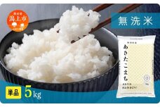 《新米 先行予約 10月発送》 無洗 米 あきたこまち 無洗米 令和7年産 5kg(5kg×1) 5kg袋 選べる 容量 5キロ 小分け 米 お米 おこめ コスパ ふるさと こめ kome コメ 一人暮らし おすすめ ふるさと ふるのう 潟上市 秋田県 送料無料  【秋田のこまち農場】