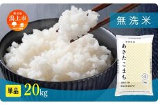 《新米 先行予約 10月発送》 無洗 米 あきたこまち 無洗米 令和7年産 20kg(5kg×4) 5kg袋 選べる 容量 5キロ 小分け 米 お米 おこめ コスパ ふるさと こめ kome コメ 一人暮らし おすすめ ふるさと ふるのう 潟上市 秋田県 送料無料  【秋田のこまち農場】