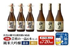 日本酒 「杜氏の醸す伝統技術の結晶」刈穂 芸術の一品セット 6本セット 各720ml 純米大吟醸 嘉永・種月（ギフト箱入り×2）