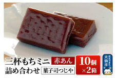 三杯もちミニ(赤あん) 10個 詰め合わせ×2箱【菓子司つじや】