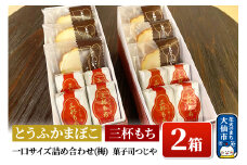 とうふかまぼこ・三杯もち 一口サイズ詰め合わせ(梅)×2箱【菓子司つじや】