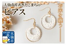 大仙市産あきたこまちのリングピアス ｜お米のアクセサリー