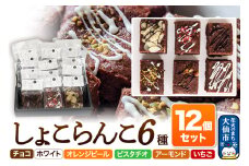 しょこらんこ12個セット［6種詰め合わせ］ブラウニー（チョコ、ホワイト、オレンジピール、ピスタチオ、アーモンド、イチゴ）スイーツ お菓子