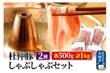 杜仲豚 しゃぶしゃぶセット 2種 各500g 計1kg (ロース、もも)【物産中仙】 豚肉 鍋