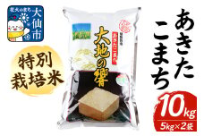米 特別栽培米 あきたこまち「大地の響」10kg（5kg×2袋）【白米】令和6年産 精米【秋山商店】