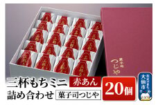 三杯もちミニ(赤あん)  20個 詰め合わせ 【菓子司つじや】