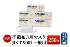 不織布３層マスク [JIS T 9001 一般用マスク] 250枚 国産