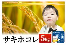 米【令和6年産】サキホコレ 5kg　おこめのさわた【特A】
