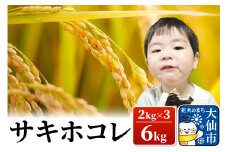 米【令和6年産】サキホコレ 6kg(2kg×3)　おこめのさわた【特A】