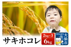 米【令和6年産】サキホコレ 6kg(2kg×3)　おこめのさわた【特A】
