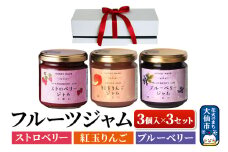 ハニーメイド フルーツジャム 3点セット（ギフト箱入り）×3セット ストロベリー 紅玉りんご ブルーベリー ローズメイ