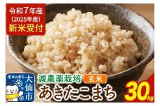 《令和7年産 新米受付》減農薬栽培 あきたこまち 100％【玄米】30kg