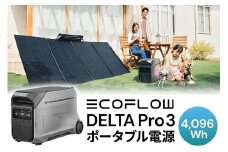 EcoFlow ポータブル電源（容量4,096Wh）DELTA Pro 3 エコフロー デルタプロ3