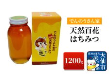 天然百花 はちみつ 1200g【でんのうさん家】ハチミツ 蜂蜜