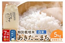 【定期便3ヶ月】《令和7年産 新米受付》米 特別栽培米 あきたこまち【精白米】5kg（5kg×1袋）ローズメイ 秋田県 大仙市産