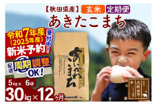 ※令和7年産 新米予約※《定期便12ヶ月》秋田県産 あきたこまち 30kg【玄米】(5kg小分け袋) 2025年産 お届け周期調整可能 隔月に調整OK お米 藤岡農産