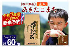 ※令和7年産 新米予約※秋田県産 あきたこまち 60kg【玄米】(5kg小分け袋) 【1回のみお届け】2025産 お米 藤岡農産